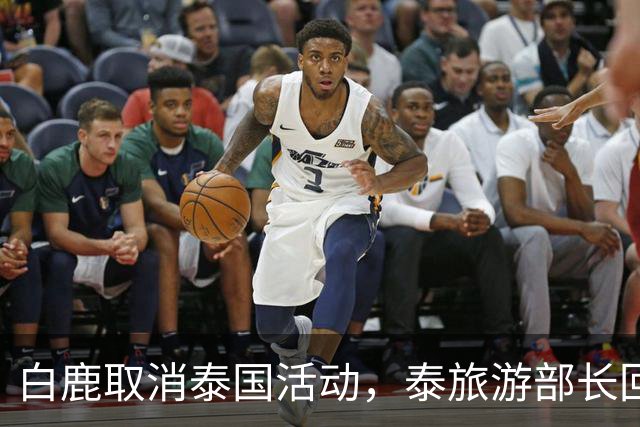 白鹿取消泰国活动,泰旅游部长回应惹争议