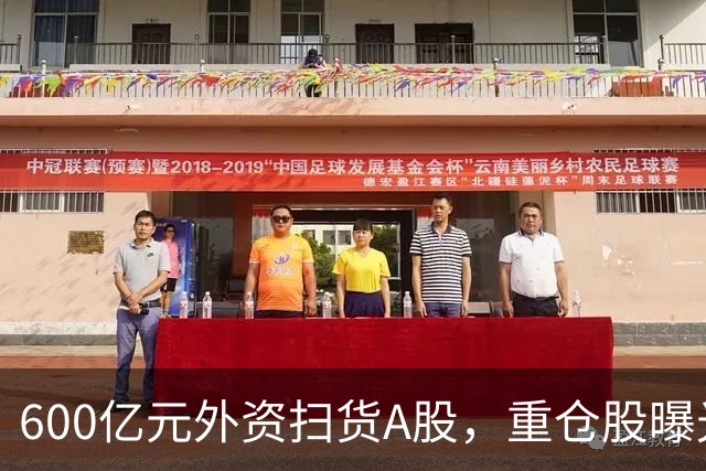 600亿元外资扫货A股，重仓股曝光